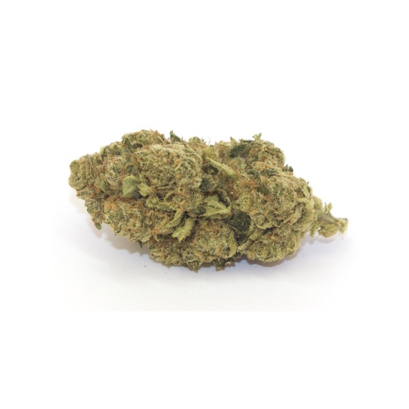 cogollo-cbd-amnesia